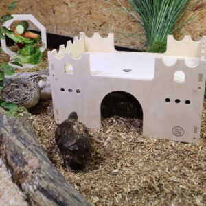 Wachtelhaus Burg Federflausch im Wachtelstall