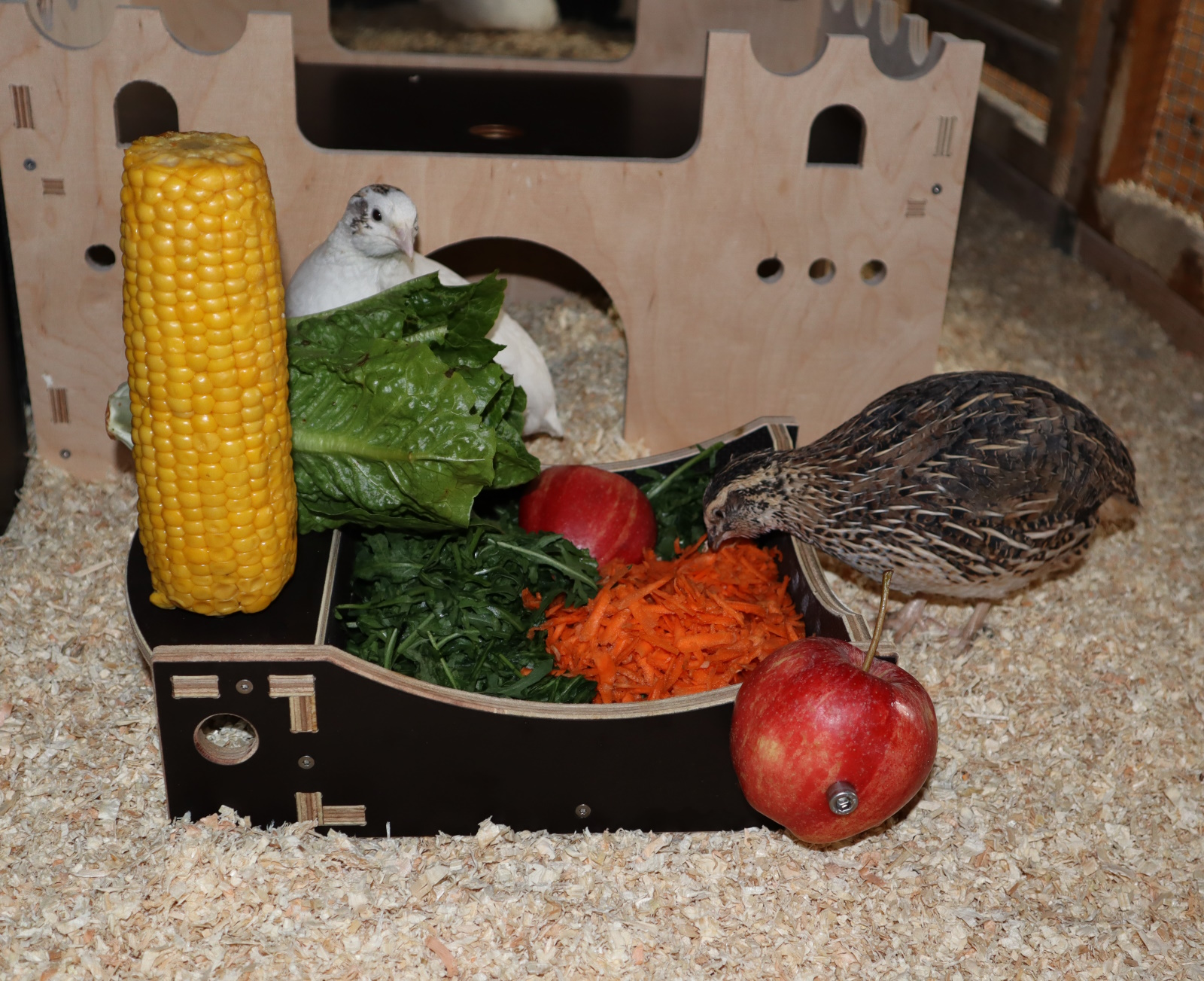Snackschale Picknick mit Wachteln im Wachtelstall